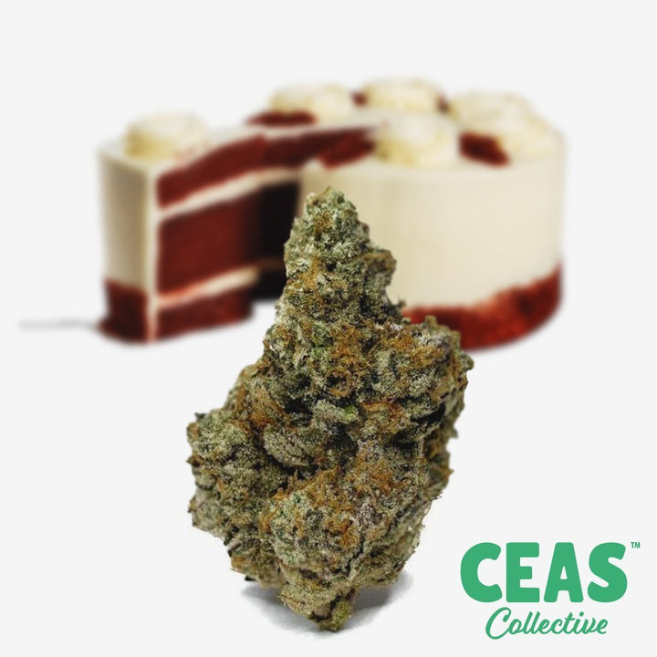 The Delicious and Potent Grunt Cake at CEAS Collective: Everything You Need to Know