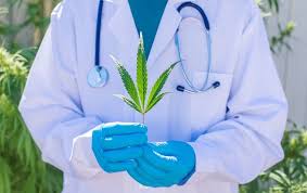 Oncological Cannabis Research: Education and Access with CEAS
