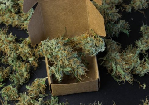 The Benefits of Weed Delivery in San Mateo