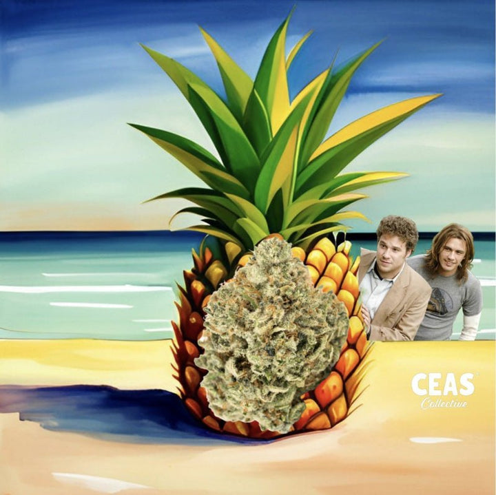 Discover Pineapple Express CEAS: The Ultimate Cannabis Adventure