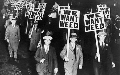 A Brief Overview of Cannabis Prohibition Throughout History