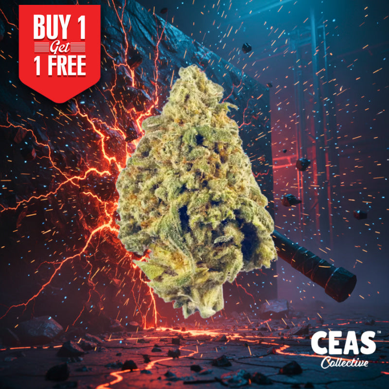 9LB Hammer - 7g CEAS