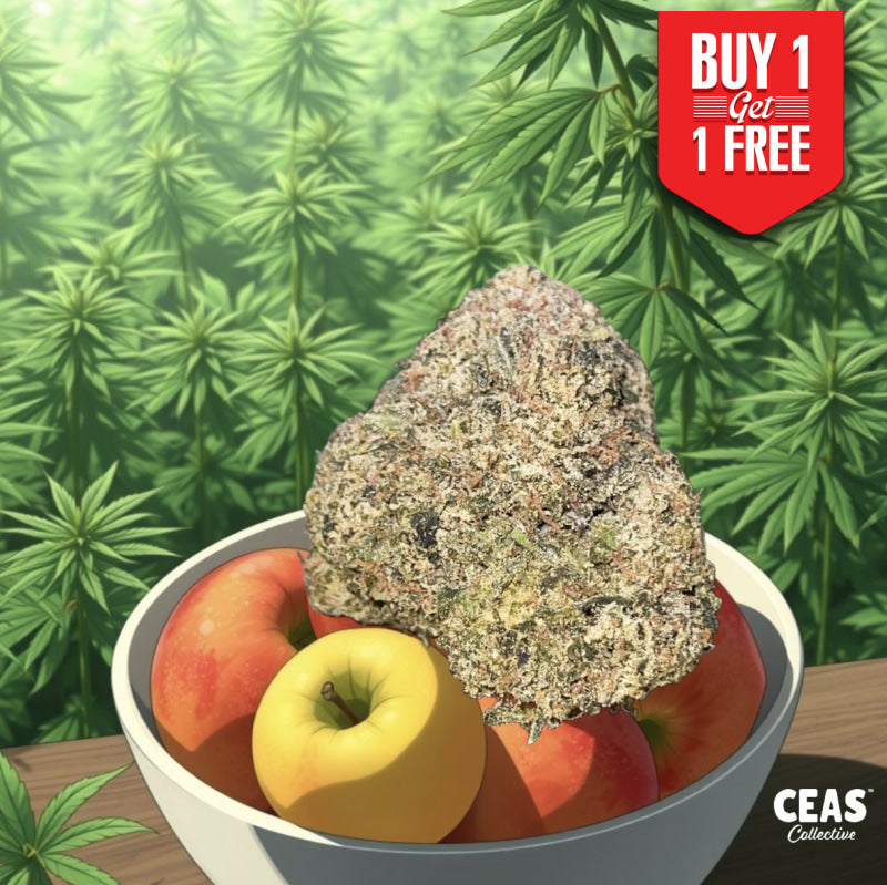 Apple Turnover 7g CEAS