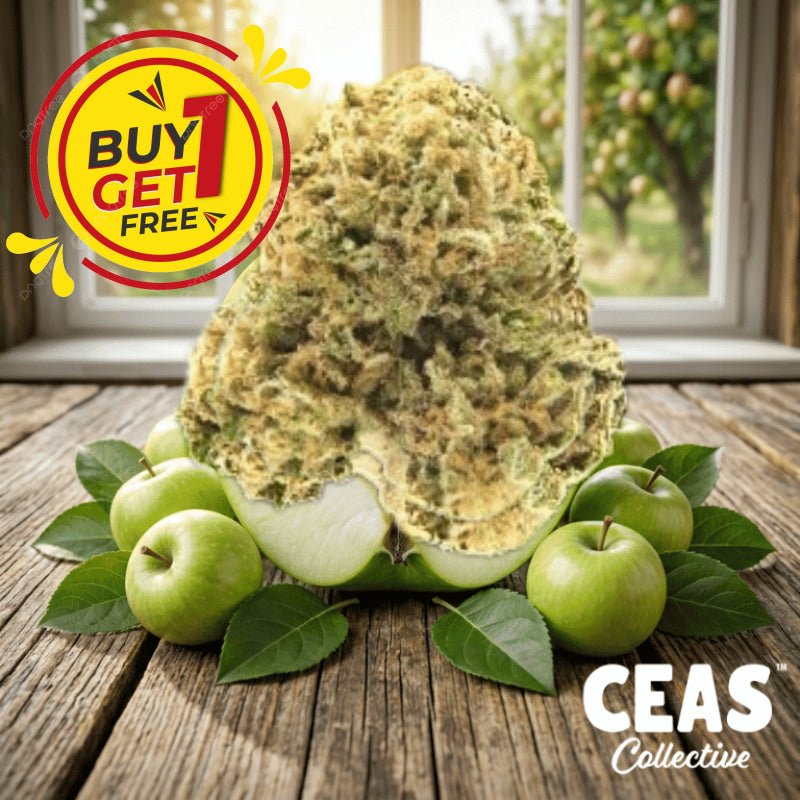 Apple Runtz 7g - CEAS