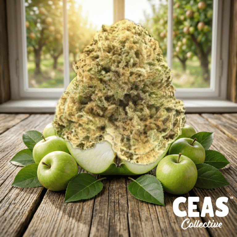 Apple Runtz 7g - CEAS