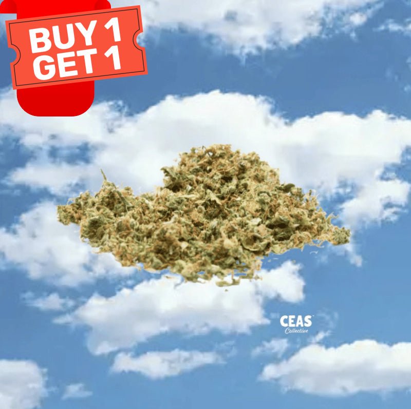 Assorted Salad (Shake) 7g - CEAS