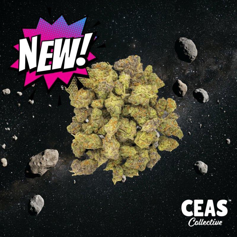 Asteroids (Smalls) 7g – CEAS