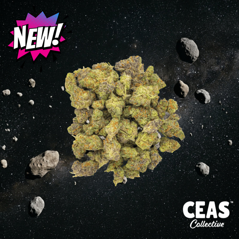 Astroids (Smalls) 7g – CEAS