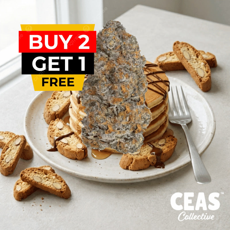 Biscotti Pancakes 7g