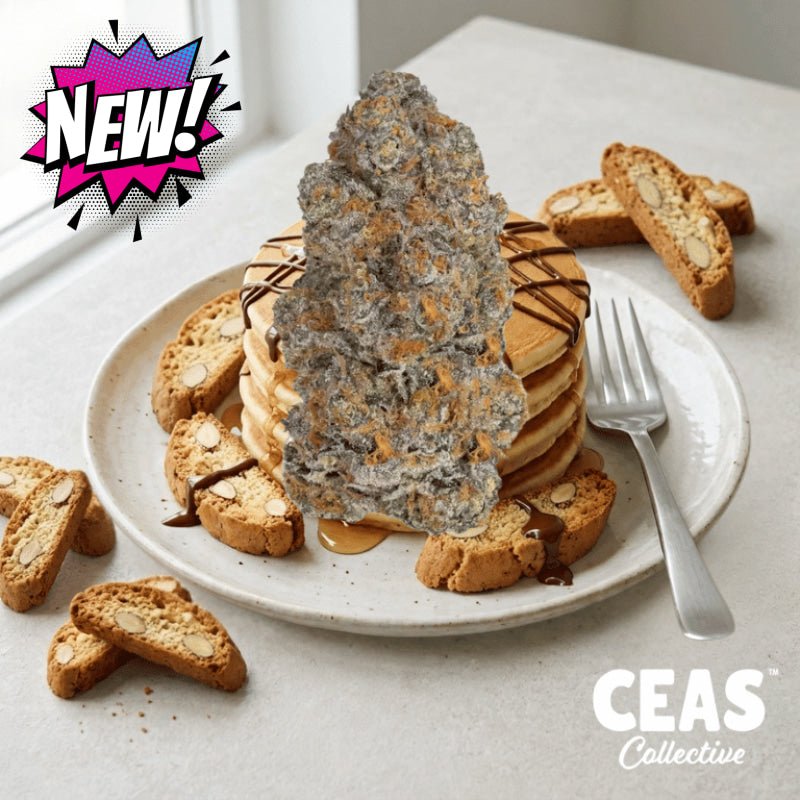 Biscotti Pancakes 7g - CEAS Exotics
