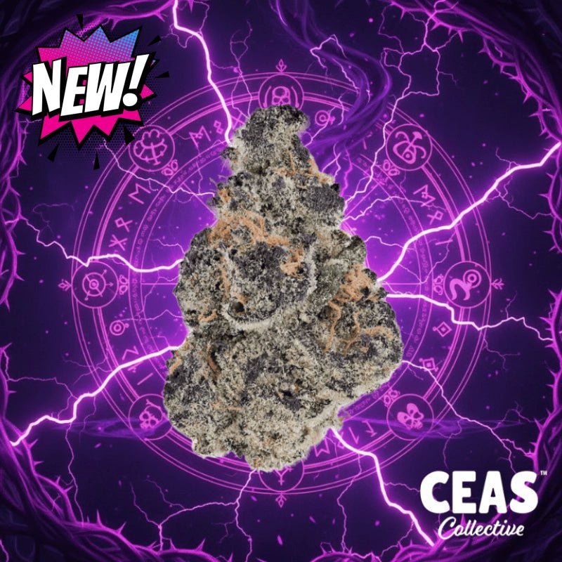 Black Magic 7g - CEAS Exotics