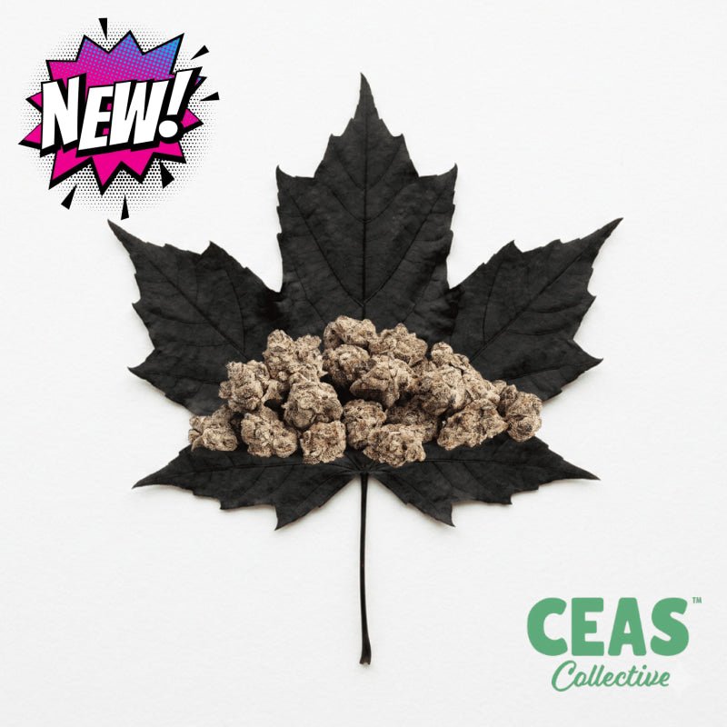 Black Maple (Smalls) 7g