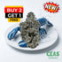 Blue Lobster - 7g CEAS Exotics