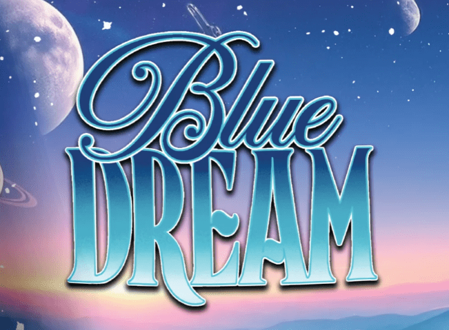 Blue Dream 2x .5g Pre-Rolls - Smoken Promises