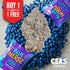 Blue Nerds - 7g CEAS Exotics