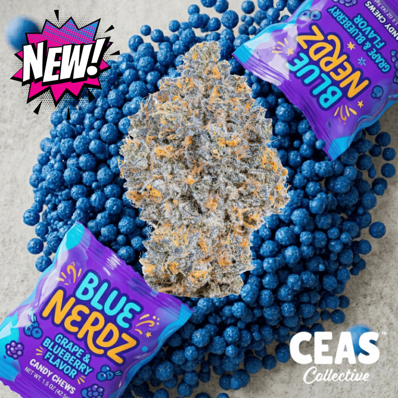 Blue Nerds - 7g CEAS Exotics