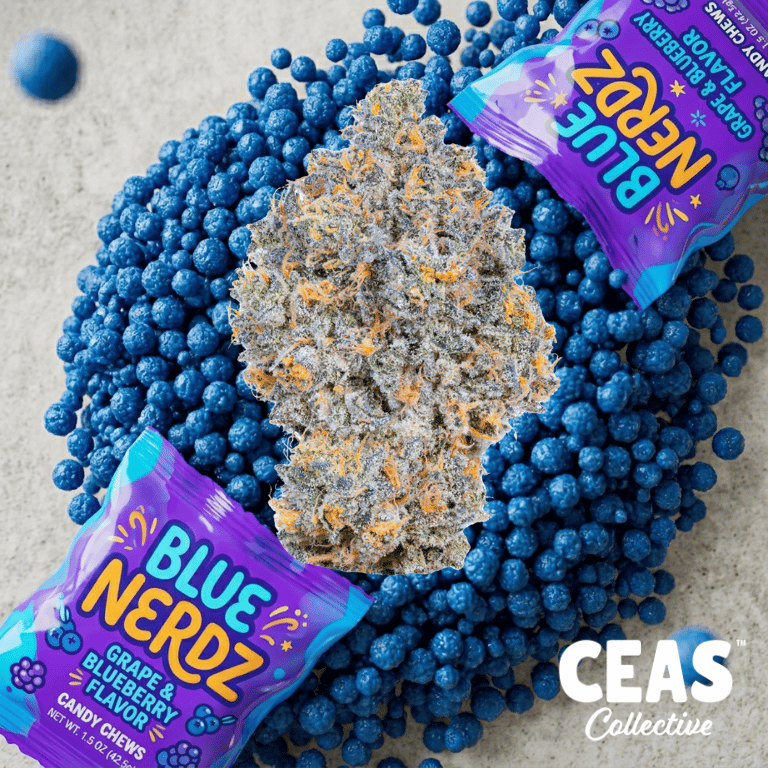 Blue Nerds - 7g CEAS Exotics