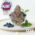 Blueberry Caviar - 7g CEAS Exotics