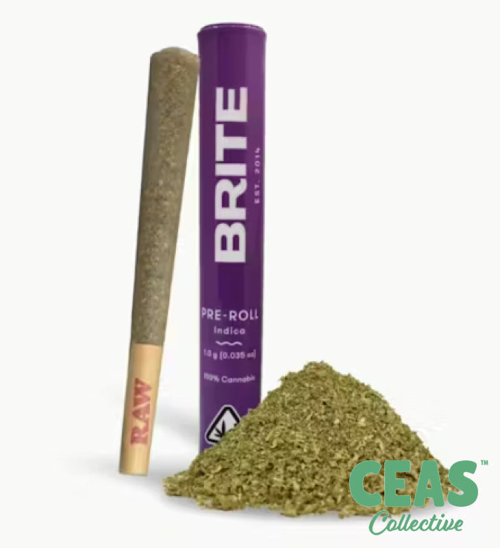 Bolo Runtz - 1g Pre Roll - Brite Labs
