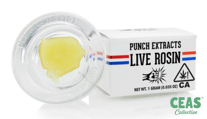 Canal St Fatso - Tier 4 Live Rosin - PUNCH