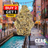Canal Street Runtz - 7g CEAS Exotics