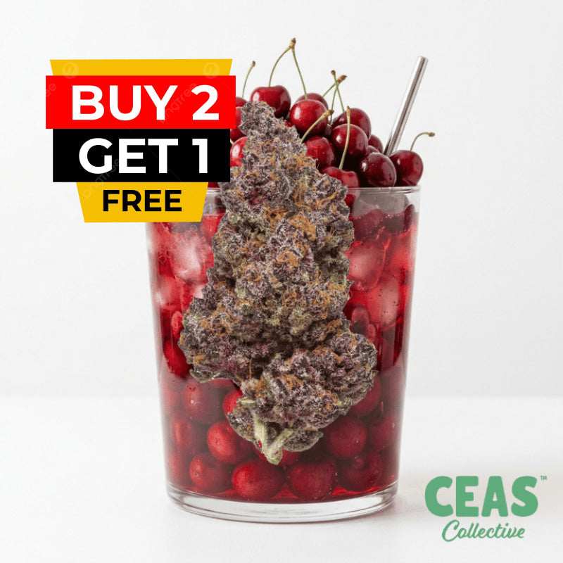 Cherry Punch 7g