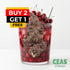 Cherry Punch 7g - CEAS Exotics