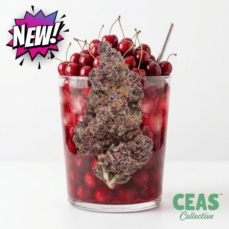 Cherry Punch 7g - CEAS Exotics