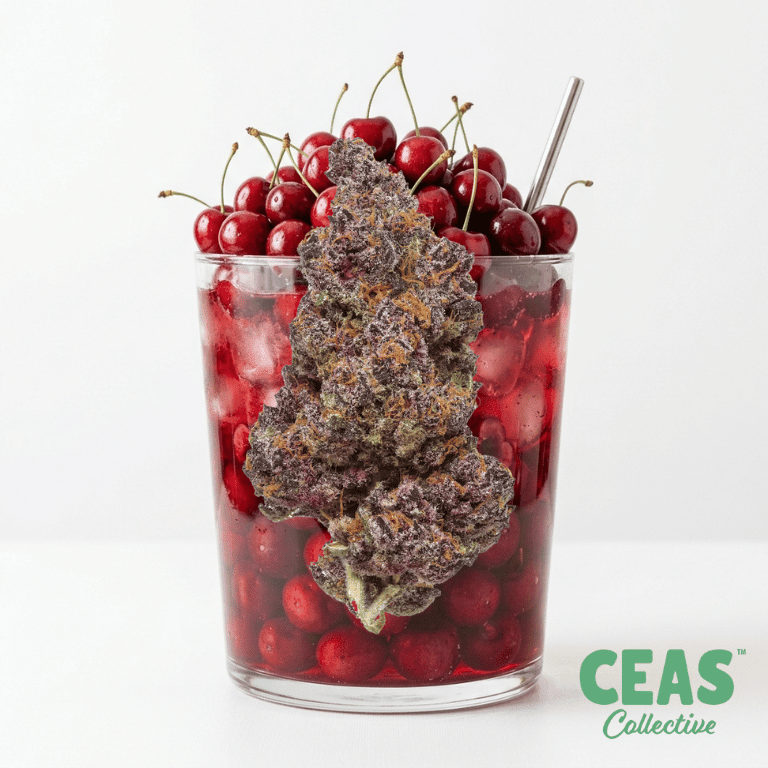Cherry Punch 7g - CEAS Exotics