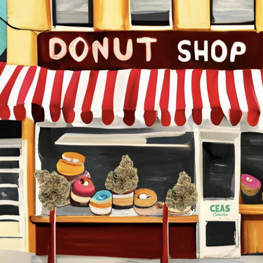 Donut Shop Strain
