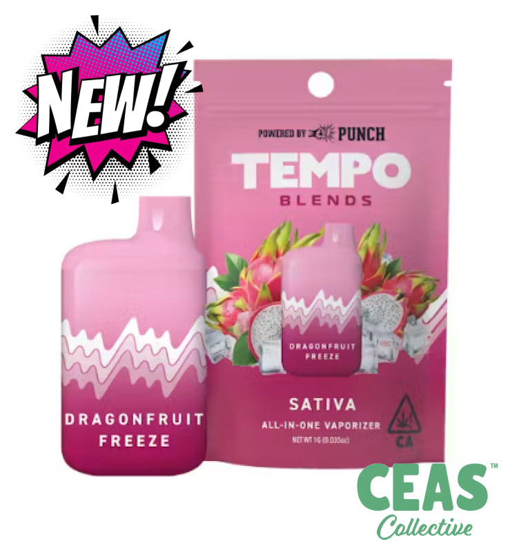 Dragon Fruit Freeze - AIO TEMPO - PUNCH Vapes