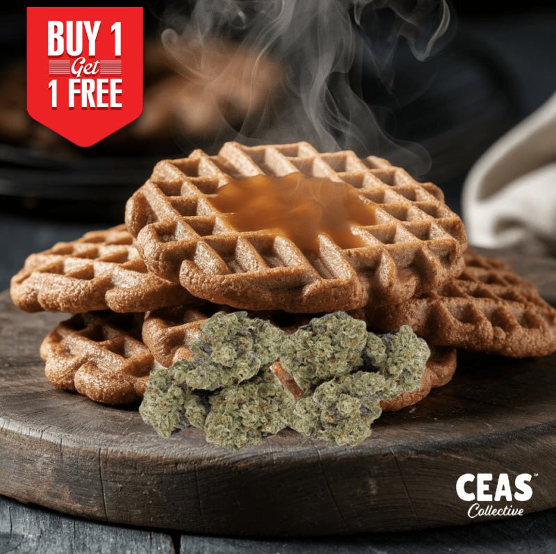 Dutch Treat (Smalls) - 7g CEAS