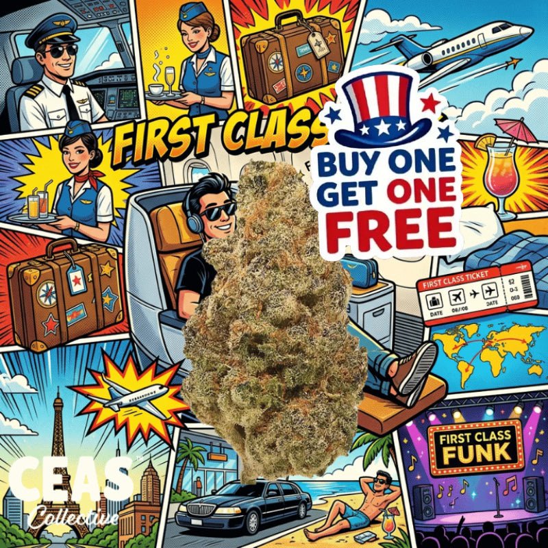 First Class Funk 7g – CEAS