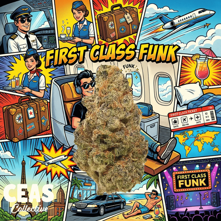 First Class Funk 7g – CEAS