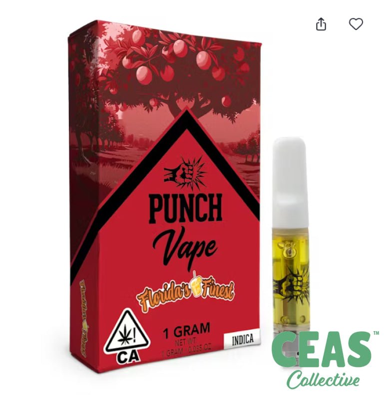 Florida&#39;s Finest - Distillate Vape 1G - PUNCH