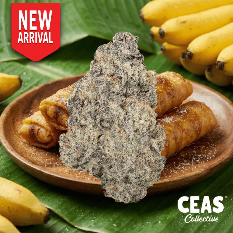 Fried Bananas - 7g CEAS Exotics