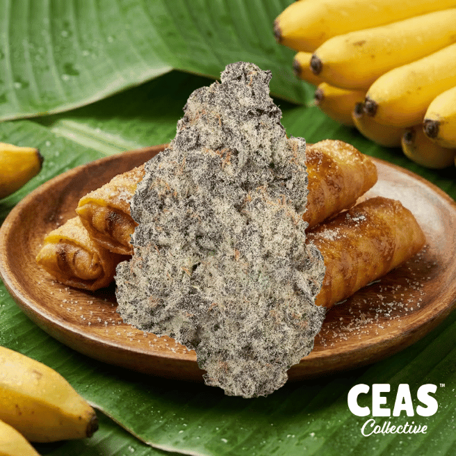 Fried Bananas - 7g CEAS Exotics