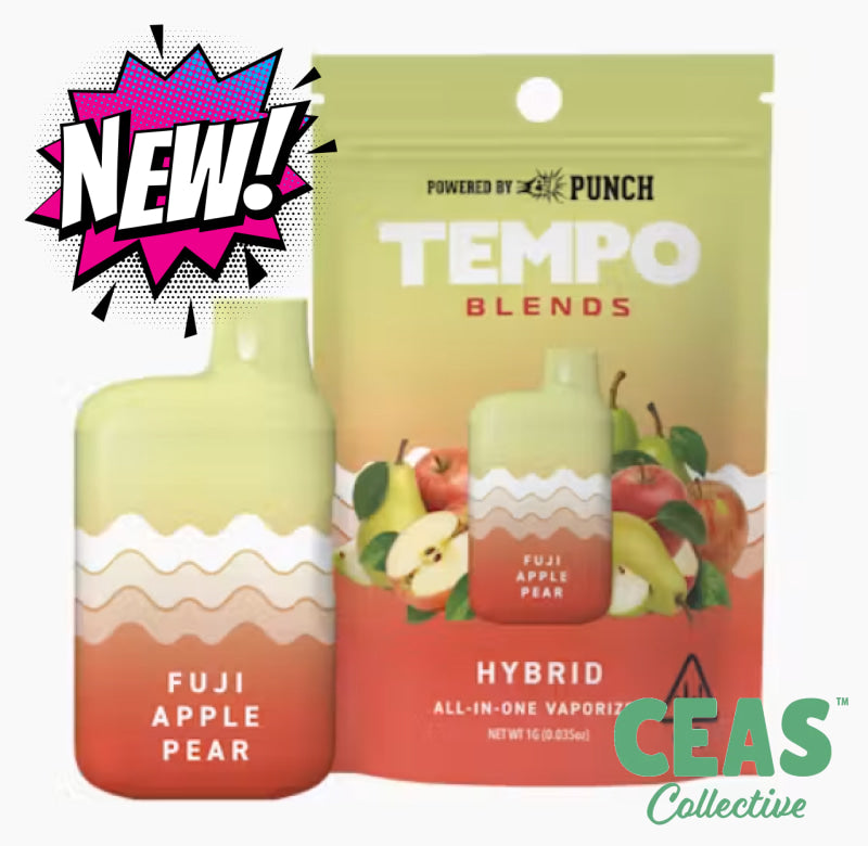 Fuji Apple Pear - AIO TEMPO - PUNCH Vapes