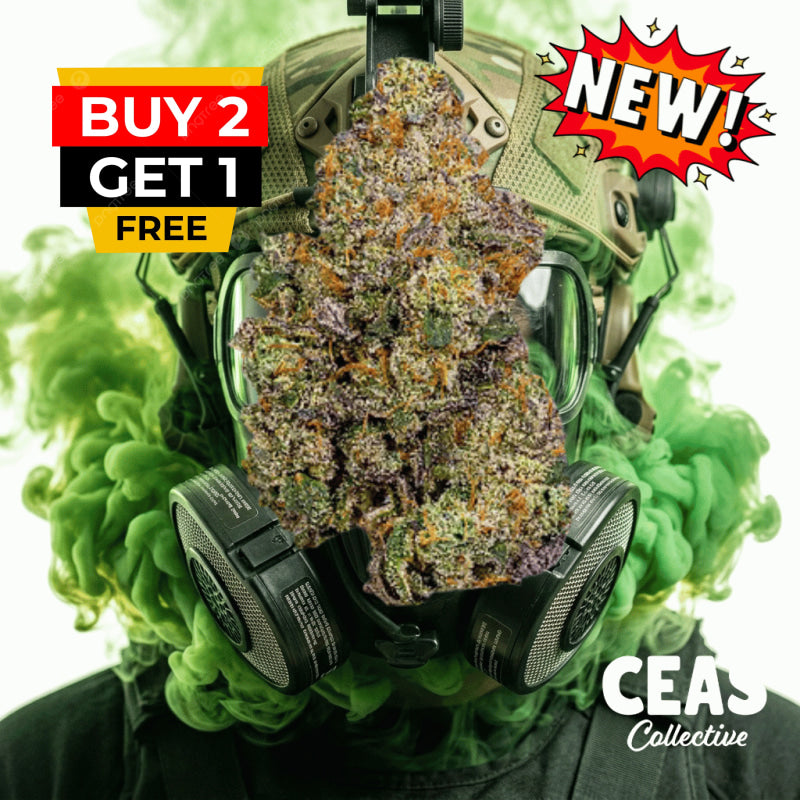 Gas Face 7g – CEAS Exotics