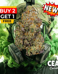 Gas Face 7g – CEAS Exotics