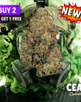 Gas Face 7g – CEAS Exotics