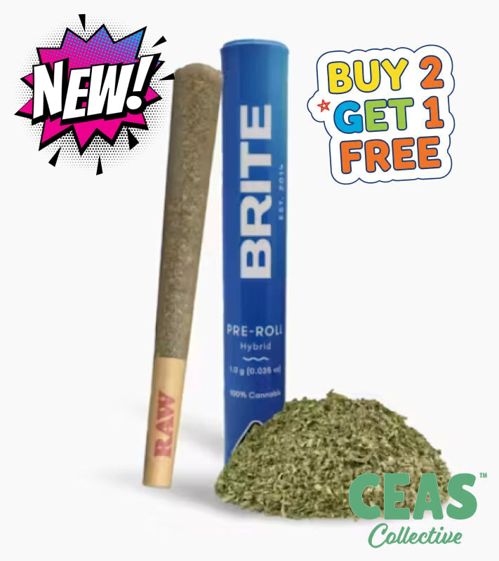 Gelato Pop - 1g Pre Roll - Brite Labs