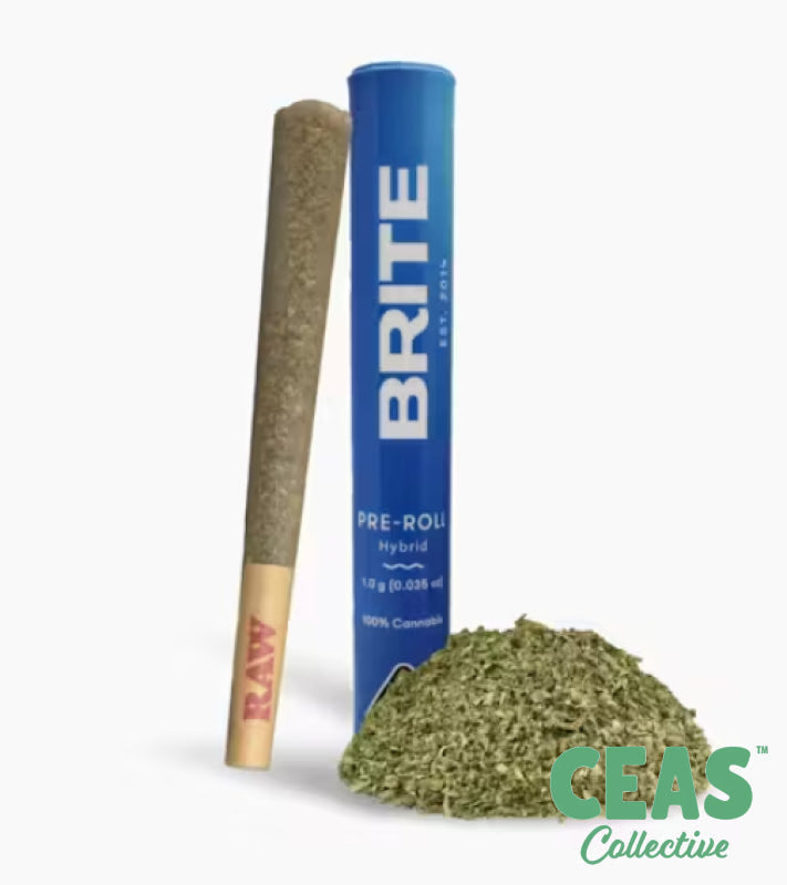 Glitter Bomb - 1g Pre Roll - Brite Labs