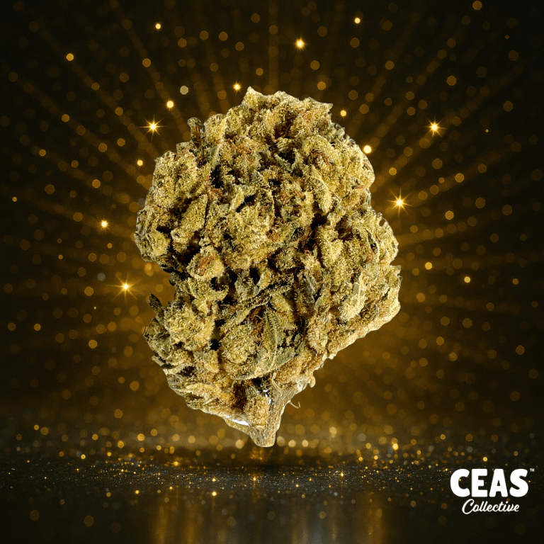 Glitter Bomb - 7g CEAS