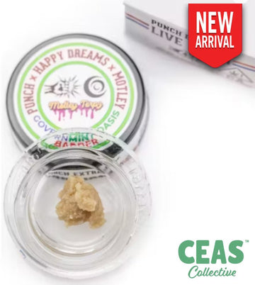 Governmint Oasis - Tier 4 Live Rosin Badder Punch Extracts