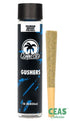 Gushers - 1g Single Pre-roll - Connected