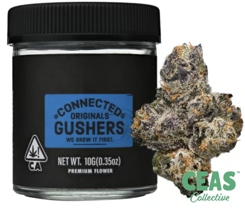 Gushers ORIGINALS 10g - Connected | CEAS