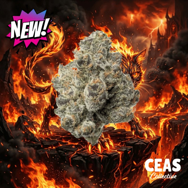 Hell Cat - 7g CEAS Exotics