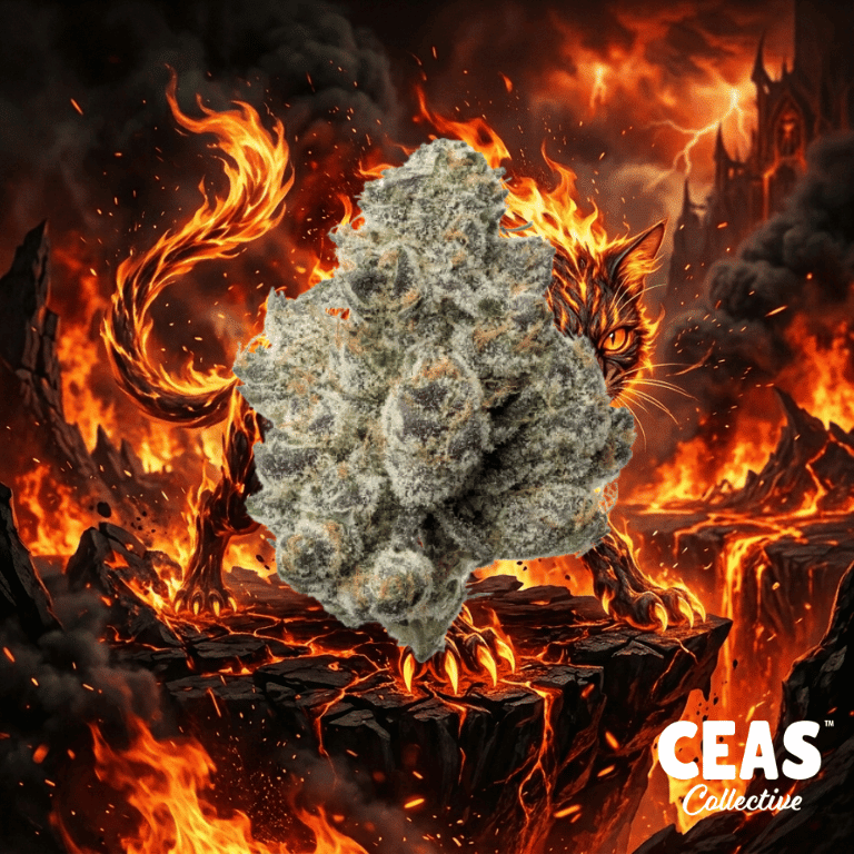Hell Cat - 7g CEAS Exotics