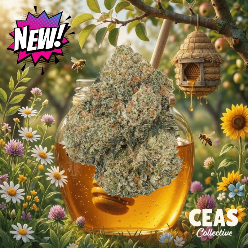 Honey Runtz 7g - CEAS Exotics